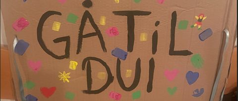 Gå til DUI